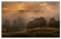 250 - BRUME SUR LA VALLEE - DUBOIS MARC - france <div